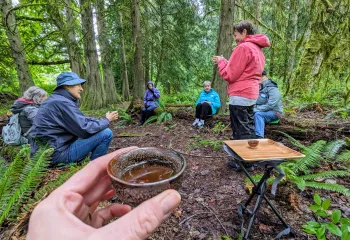 A group of people sitting in the forest with cups of tea while practicing forest bathing.