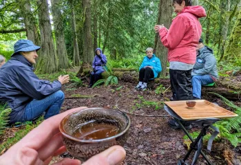 Forest Bathing