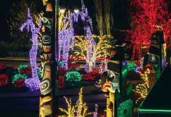 Holiday Lights Tour and Hot Cocoa