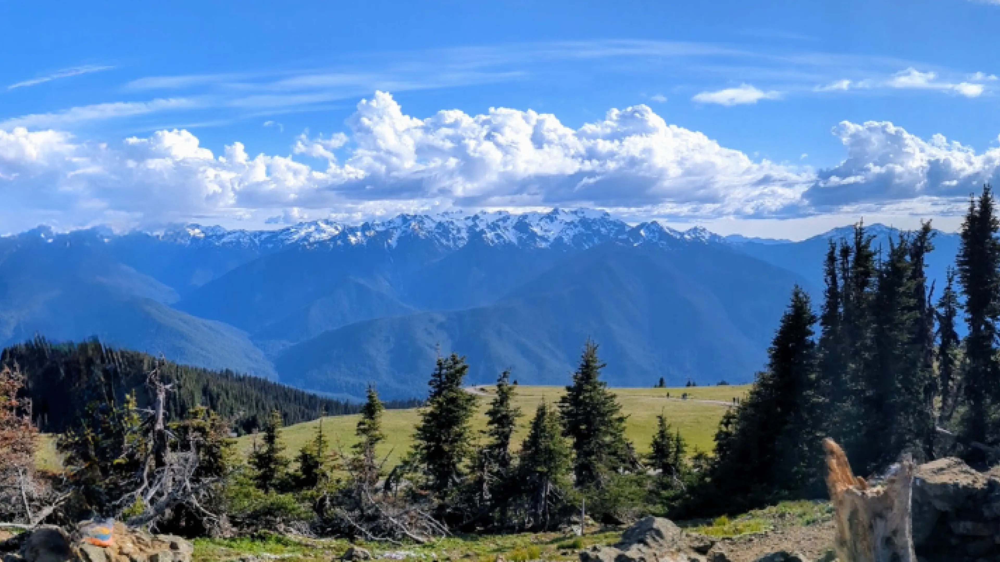 Olympic Mountains from Hurricane Hill 2024