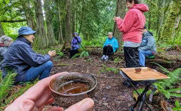 Forest Bathing
