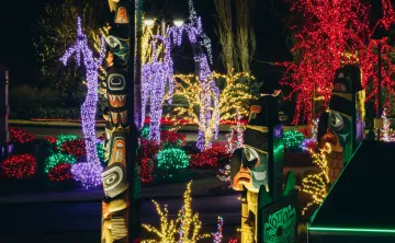 Holiday Lights Tour and Hot Cocoa